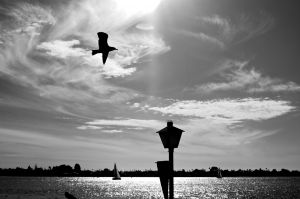 WS Wind and Sky - 04.jpg
